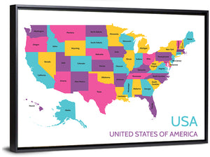 USA Detailed Map Wall Art