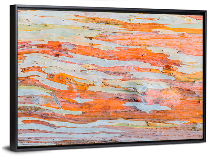Abstract Eucalyptus Bark Layers Wall Art as a framed canvas