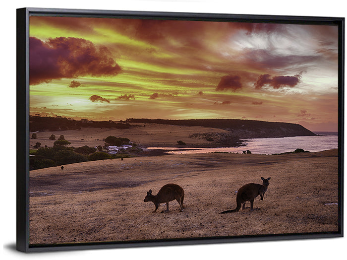 Two Kangaroos at Sunset Coast Wall Art as a framed canvas