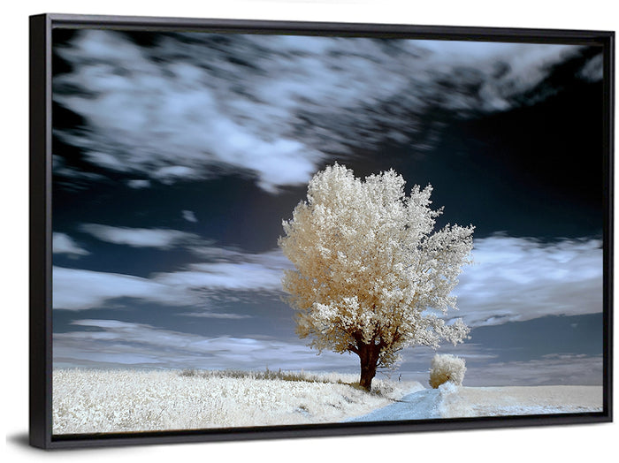 Infrared Winter Willow Tree Wall Art as a framed canvas