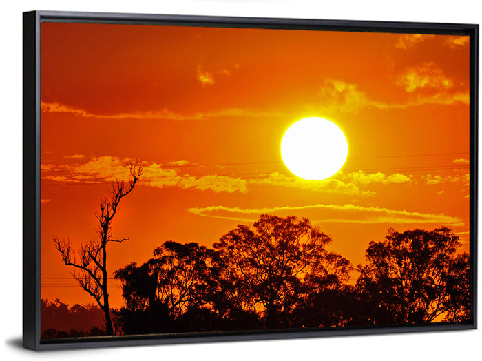 Burning Sun Over Tree Silhouettes Wall Art as a framed canvas