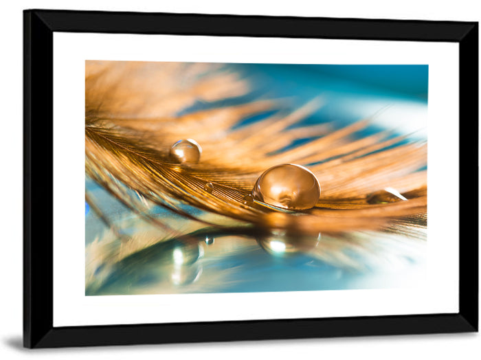 Golden Feather with Droplets Wall Art as a framed print