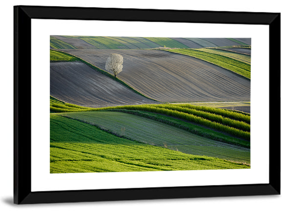 Springtime Polish Fields Wall Art