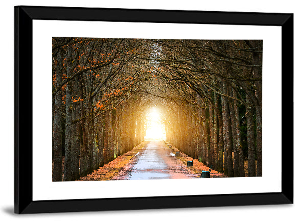 Autumn Oak Tunnel Wall Art