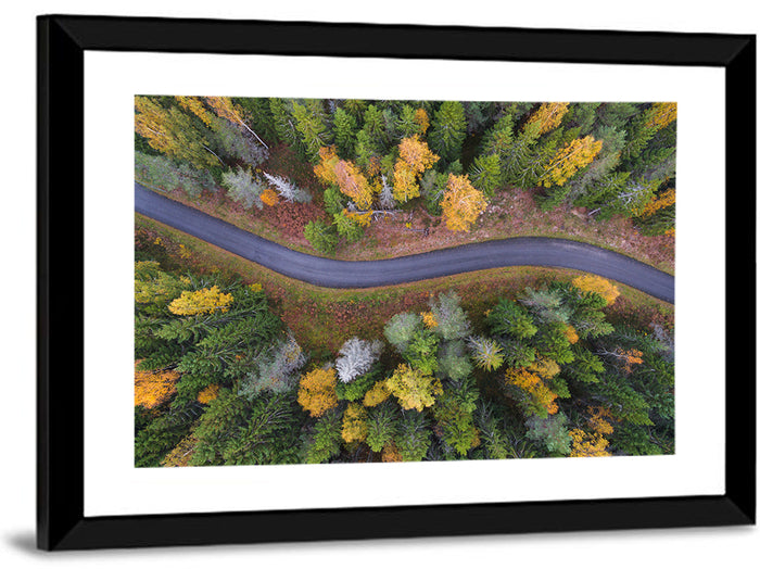 Aerial Autumn Forest Road Wall Art as a framed print