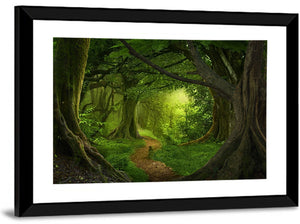 Tropical Forest Path Wall Art