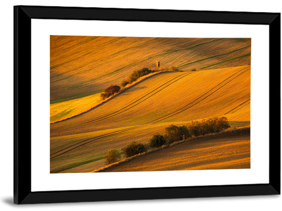 Golden Moravian Farm Tracks Wall Art