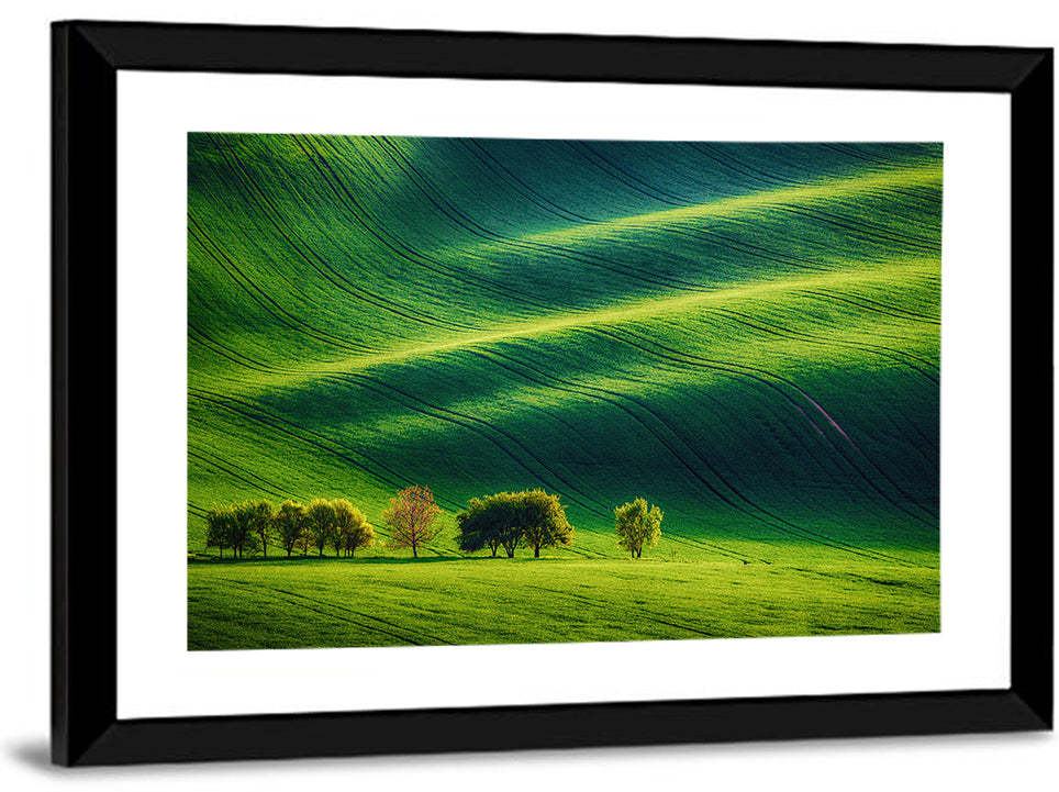 Southern Moravia Rolling Fields Wall Art