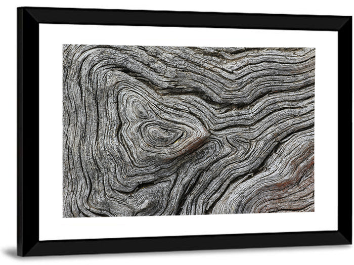 Tree Growth Rings Wall Art as a framed print