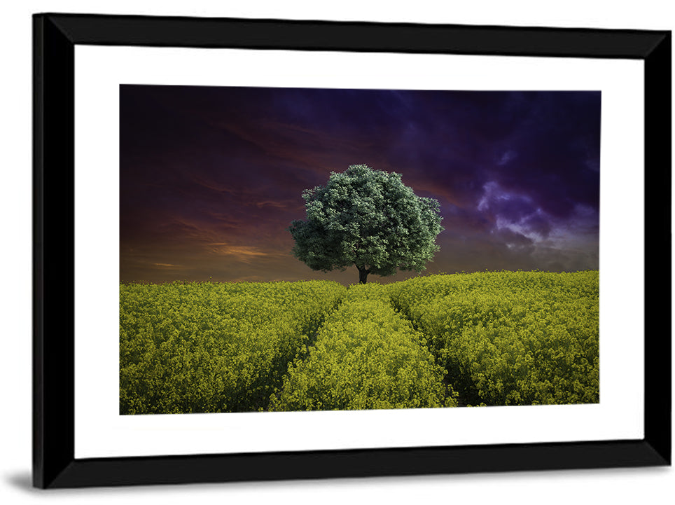 Solitary Tree in Yellow Field Wall Art