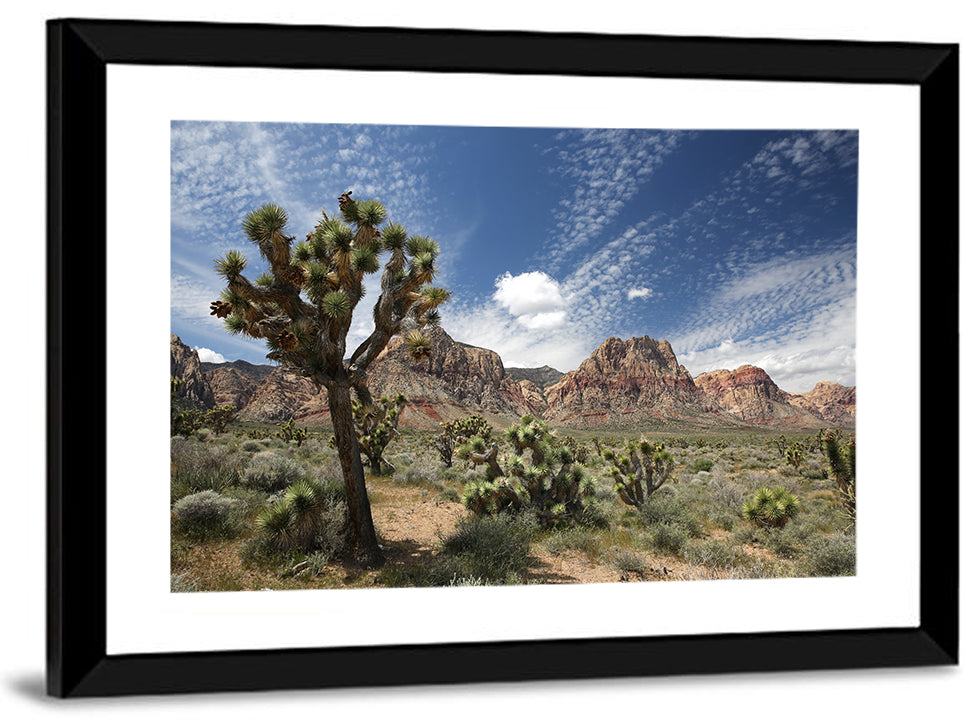 Joshua Tree at Red Rock Canyon Wall Art