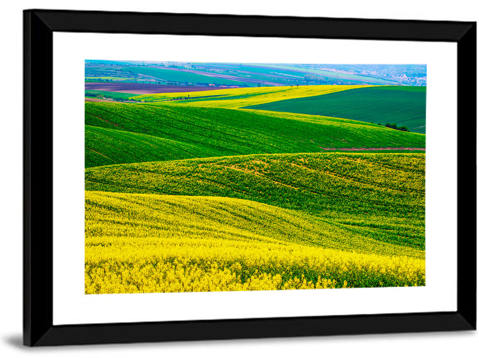 Spring Rapeseed Fields Wall Art