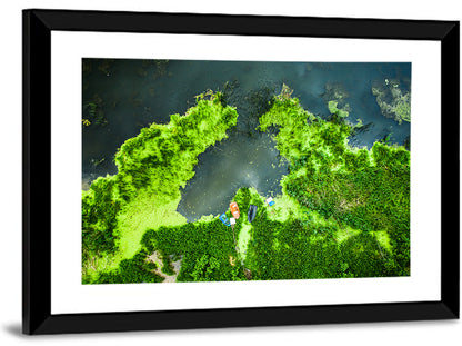 Green Algae Wall Art