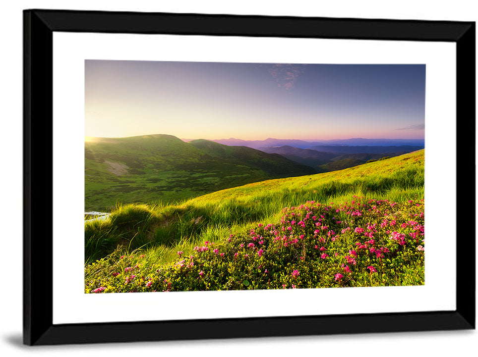 Alpine Meadow Sunrise Wall Art