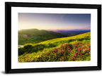 Alpine Meadow Sunrise Wall Art