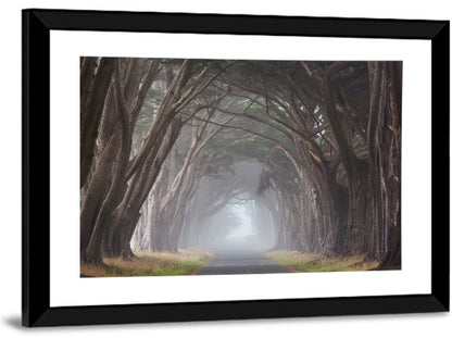 Misty Trees Alley Wall Art