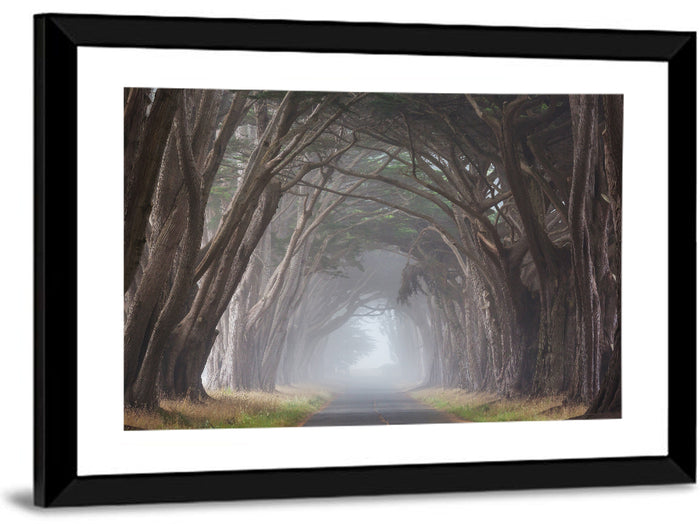 Cypress Tree Tunnel in Fog Wall Art as a framed print