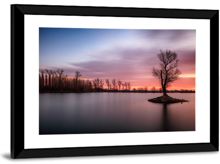 Solitary Island Tree at Sunset Wall Art as a framed print