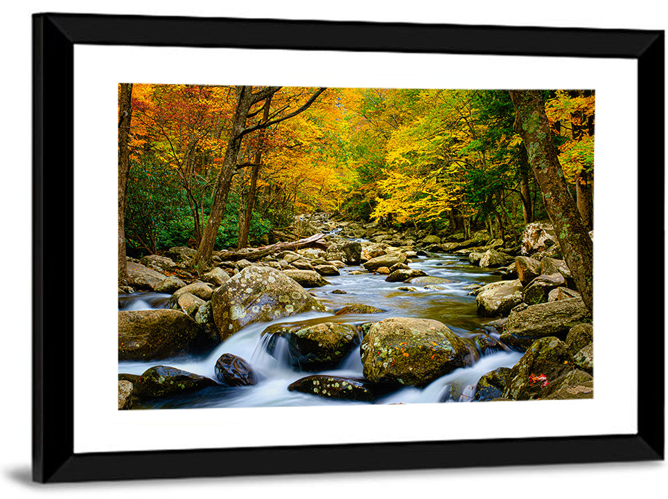 Autumn Stream Through Forest Wall Art