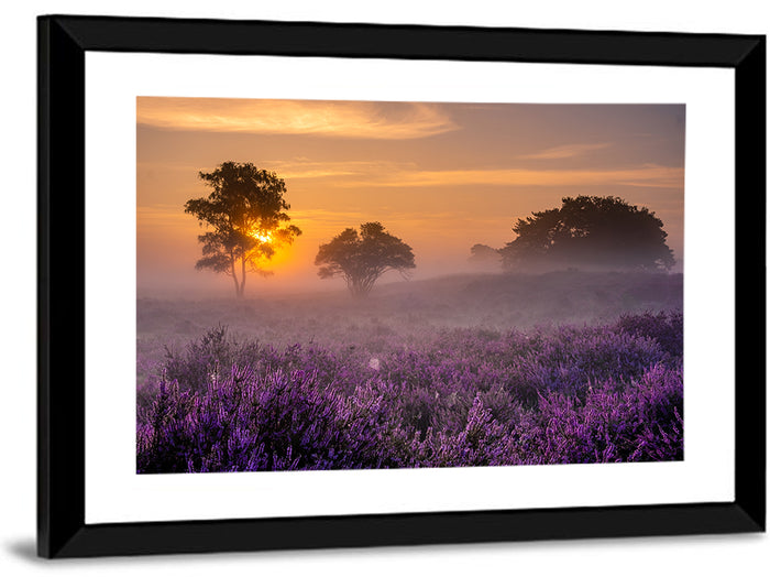 Misty Heather Field at Dawn Wall Art as a framed print