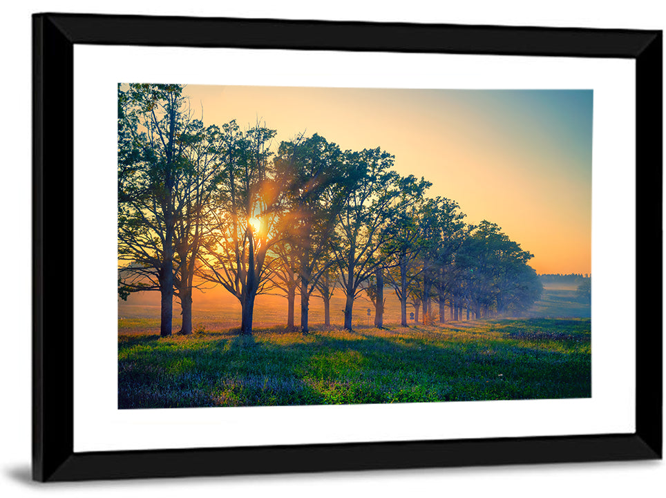 Oak Alley Golden Hour Wall Art