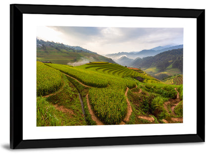 Terraced Rice Paddy Field Wall Art