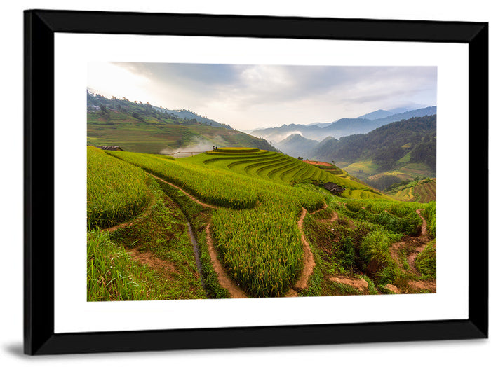 Terraced Rice Paddies Wall Art as a framed print