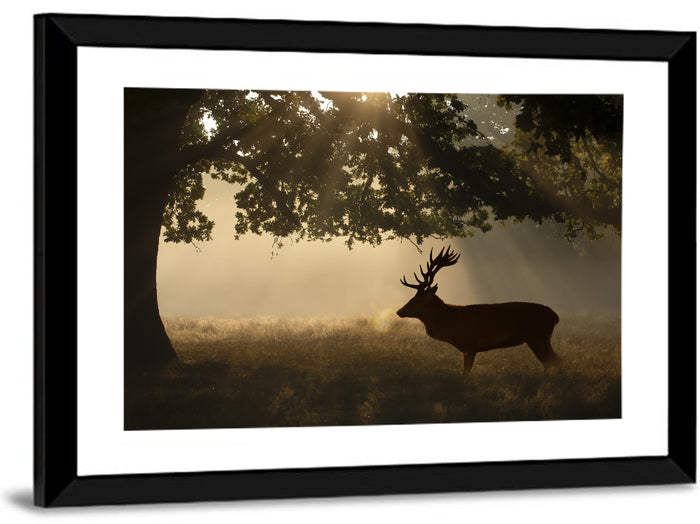 Misty Stag Silhouette Wall Art as a framed print
