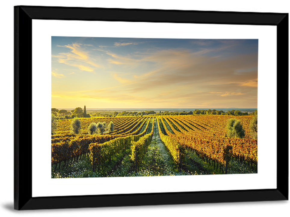 Bolgheri Vineyard Wall Art