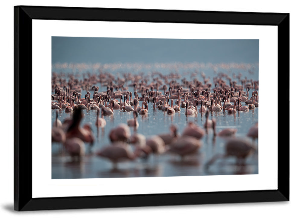 Flamingos at Lake Bagoria Wall Art