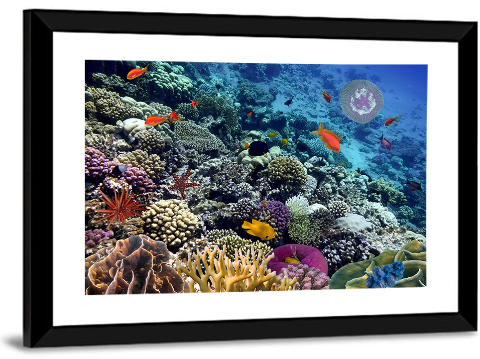 Vibrant Coral Reef Scene Wall Art