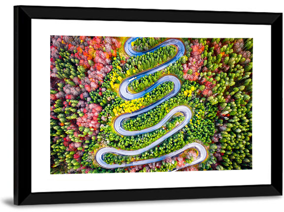 Cheia Autumn Winding Road Wall Art