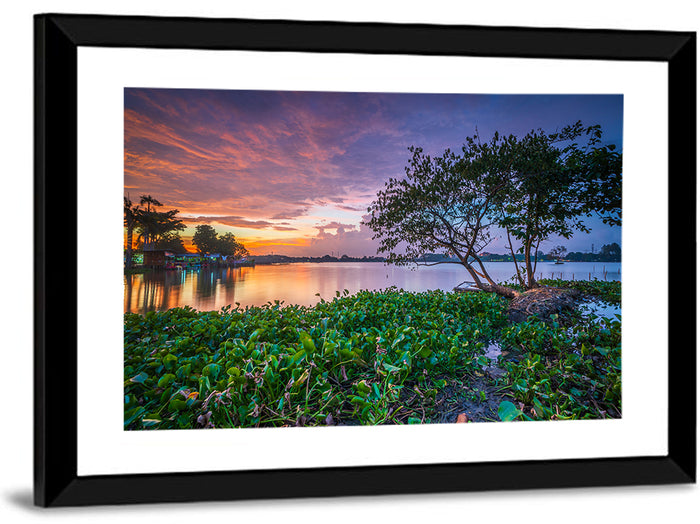 Cipondoh Lake Hyacinth Sunset Wall Art as a framed print