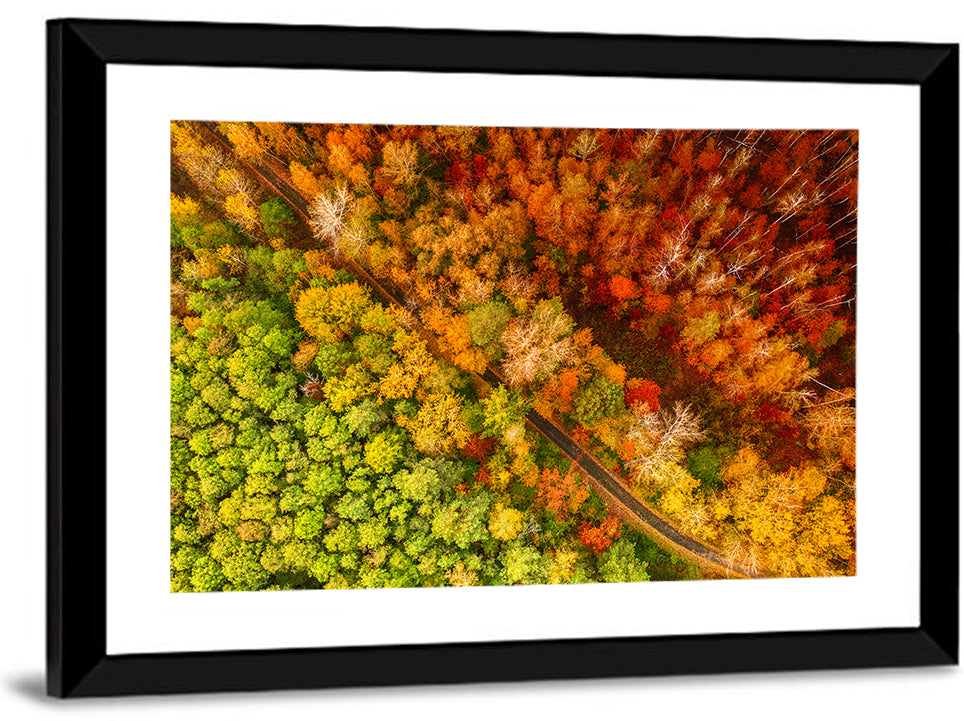 Winding Road Through Autumn Forest Wall Art