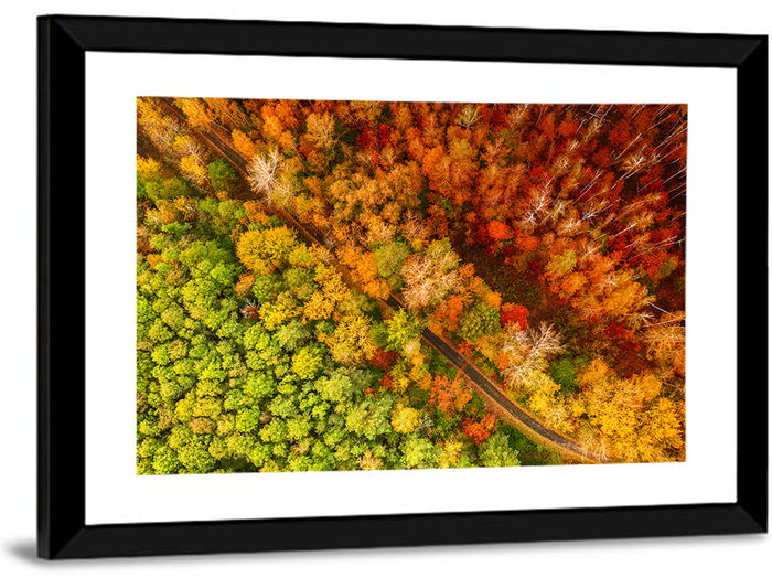 Winding Road Through Autumn Forest Wall Art as a framed print