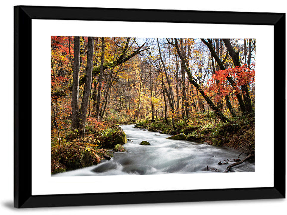 Sunlit Forest Stream Wall Art