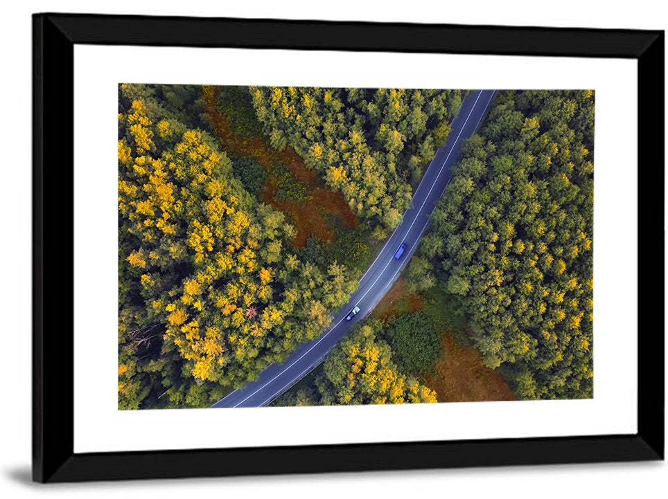 Aerial Autumn Forest Road Wall Art