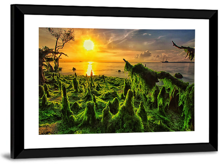 Mangrove Roots at Sunset Wall Art as a framed print