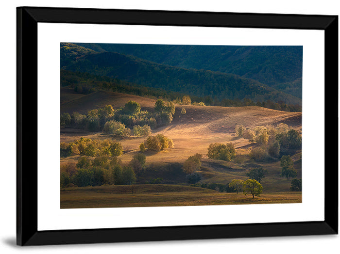 Bashang Plateau Golden Hour Wall Art as a framed print