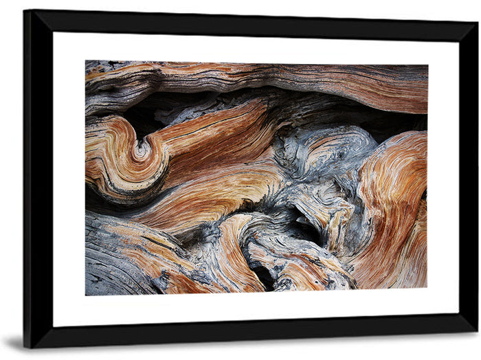 Juniper Wood Texture Wall Art as a framed print