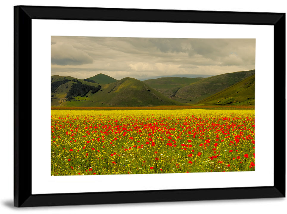 Castelluccio Wildflower Meadow Wall Art