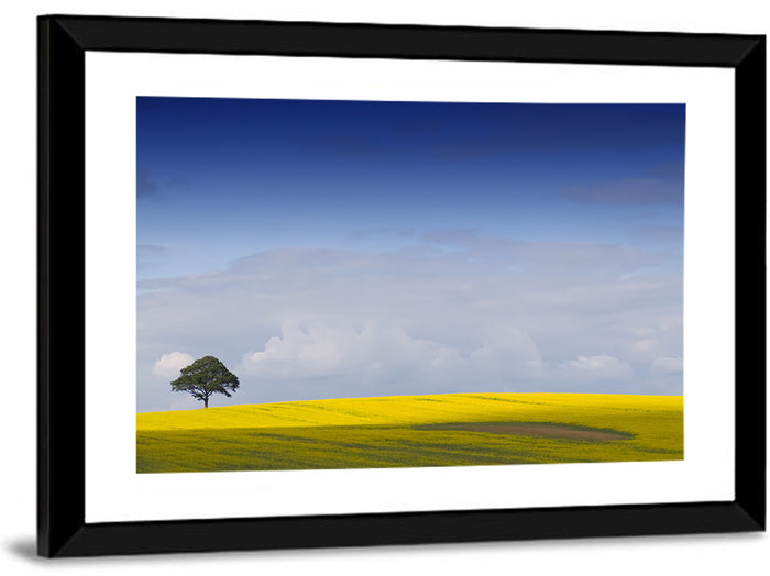 Solitary Tree Over Rapeseed Field Wall Art as a framed print