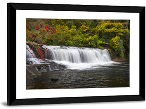 Dupont State Forest Stream Wall Art