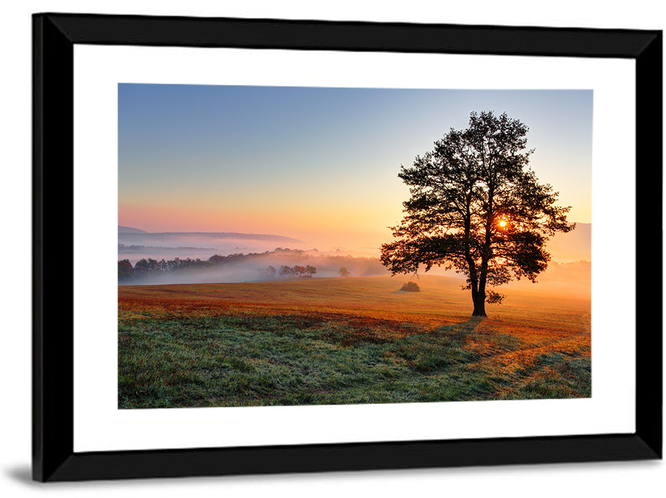 Misty Meadow Sunrise with Lone Tree Wall Art