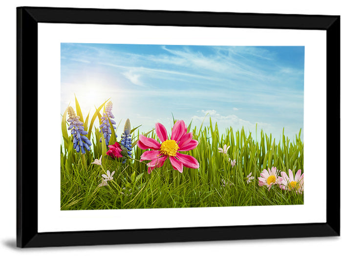Pink Daisy and Blue Hyacinths in Spring Grass Wall Art as a framed print