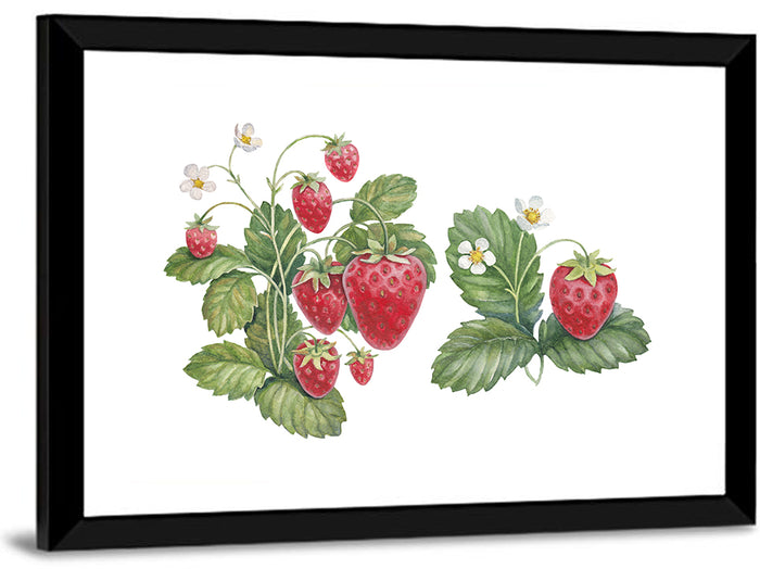 Fresh Strawberry Botanical Illustration Wall Art as a framed print
