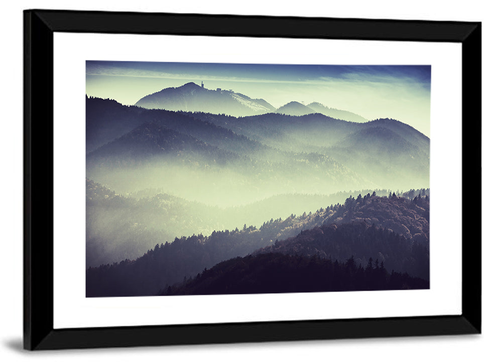 Foggy Forest Valley Wall Art