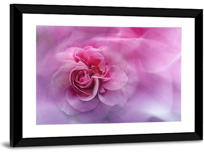 Ethereal Pink Rose Bloom Wall Art as a framed print