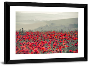 Red Poppy Field Wall Art