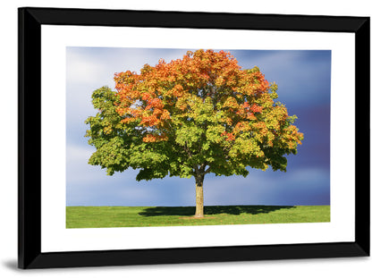Maple Tree Wall Art